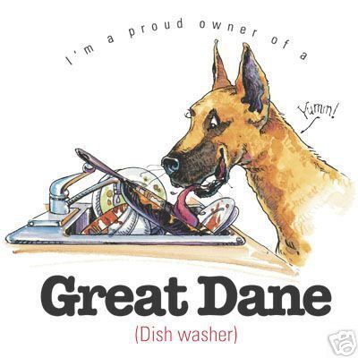 Great Dane Funny Friends Long Sleeve T Shirt  