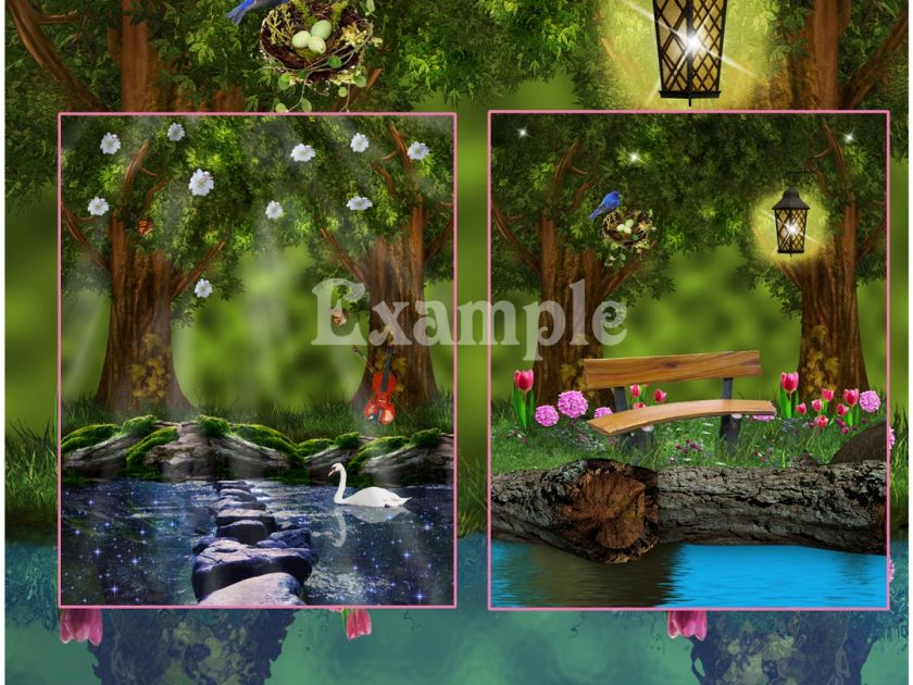 DIGITAL FANTASY BACKGROUNDS/ BACKDROPS/ photo props  