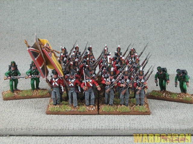 28mm Napoleonic WDS Pro painted British Infantry w91  