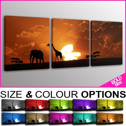 PREMIUM NEW Sunset African Animals   10 COLOURS / SIZES  