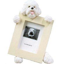 BICHON FRISE PICTURE FRAME  