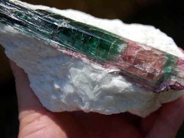 Gem Watermelon Tourmaline on Matrix, Brazil T697  