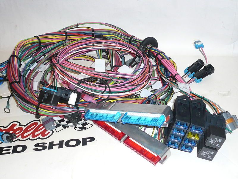 GM, SFI, LS1, Engine Swap, Wiring Harness, Universal  