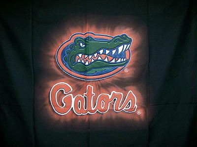 FLORIDA GATORS Window Curtain Panel 42x84 NEW  