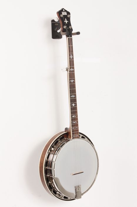 Recording King RK R35 Madison Tone Ring Banjo Maple 886830344268 