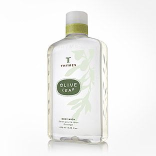 Thymes Olive Leaf Body Wash  