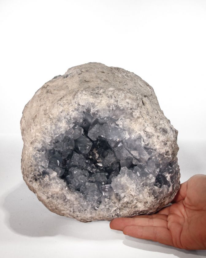 NewGemmy Blue 8 XL CELESTITE CRYSTAL GEODE Madagascar  