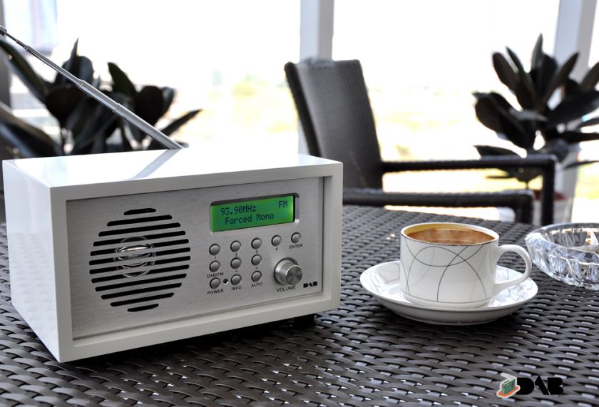 iRadio Portable DAB/FM Radio with Alarm Clock Function  