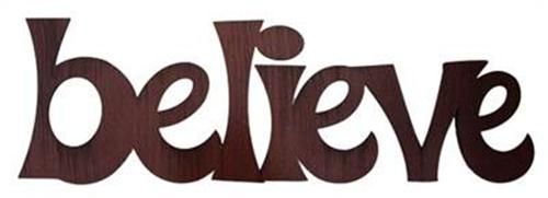   METAL BELIEVE GARDEN SIGN OUTDOOR PATIO DECK YARD LAWN ORNAMENT