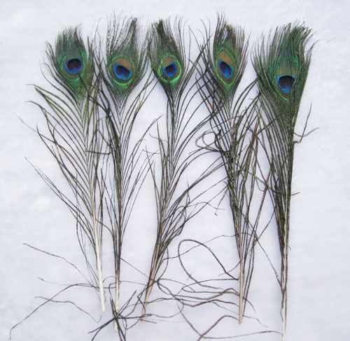20pcs Green peacock tail sword feathers About 26 30cm  