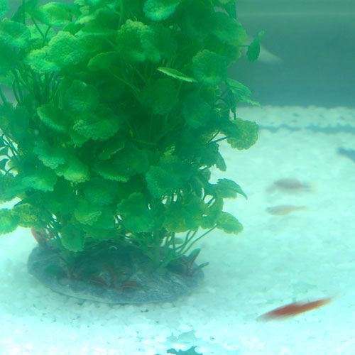 you re bidding aquarium fish tank plastic plants ornament decoration